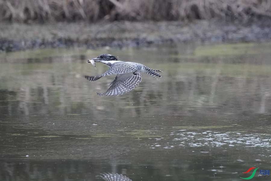 20180224-DSC00992-38 - ����.JPG