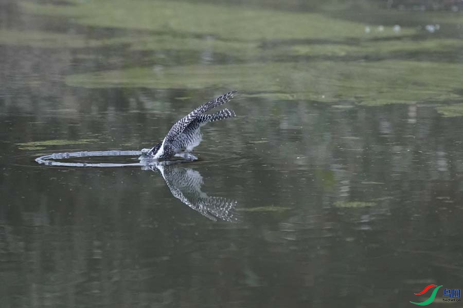 20180224-DSC00964-10 - ���� (2).JPG