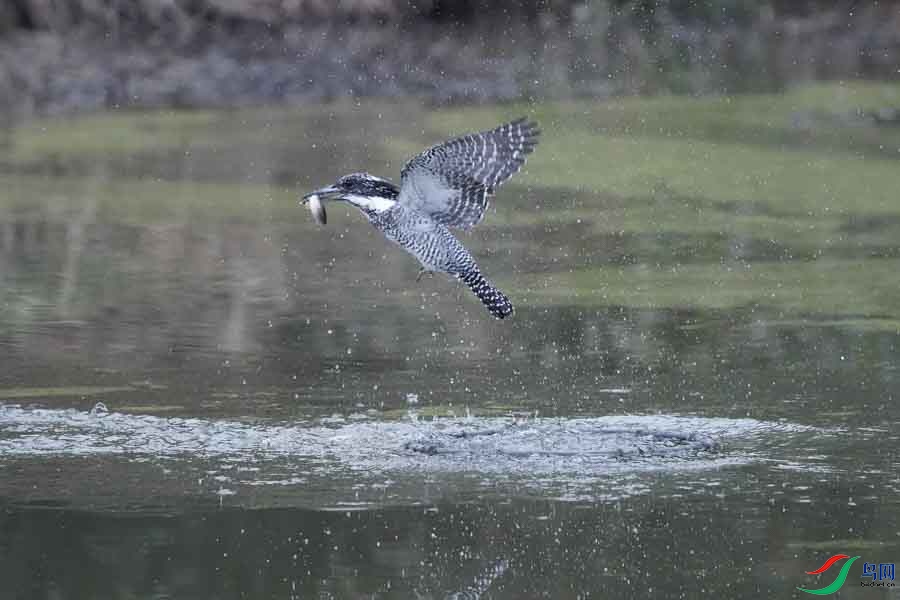 20180224-DSC00981-27.JPG