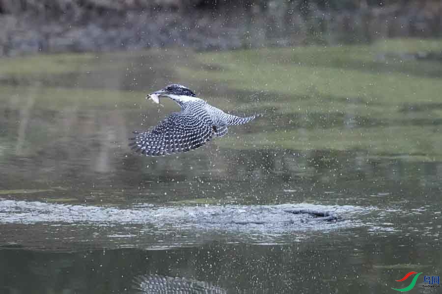 20180224-DSC00980-26 - ���� (2).JPG