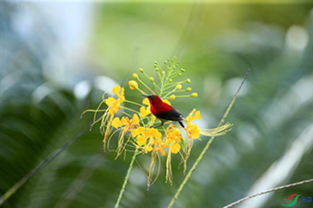140.jpg