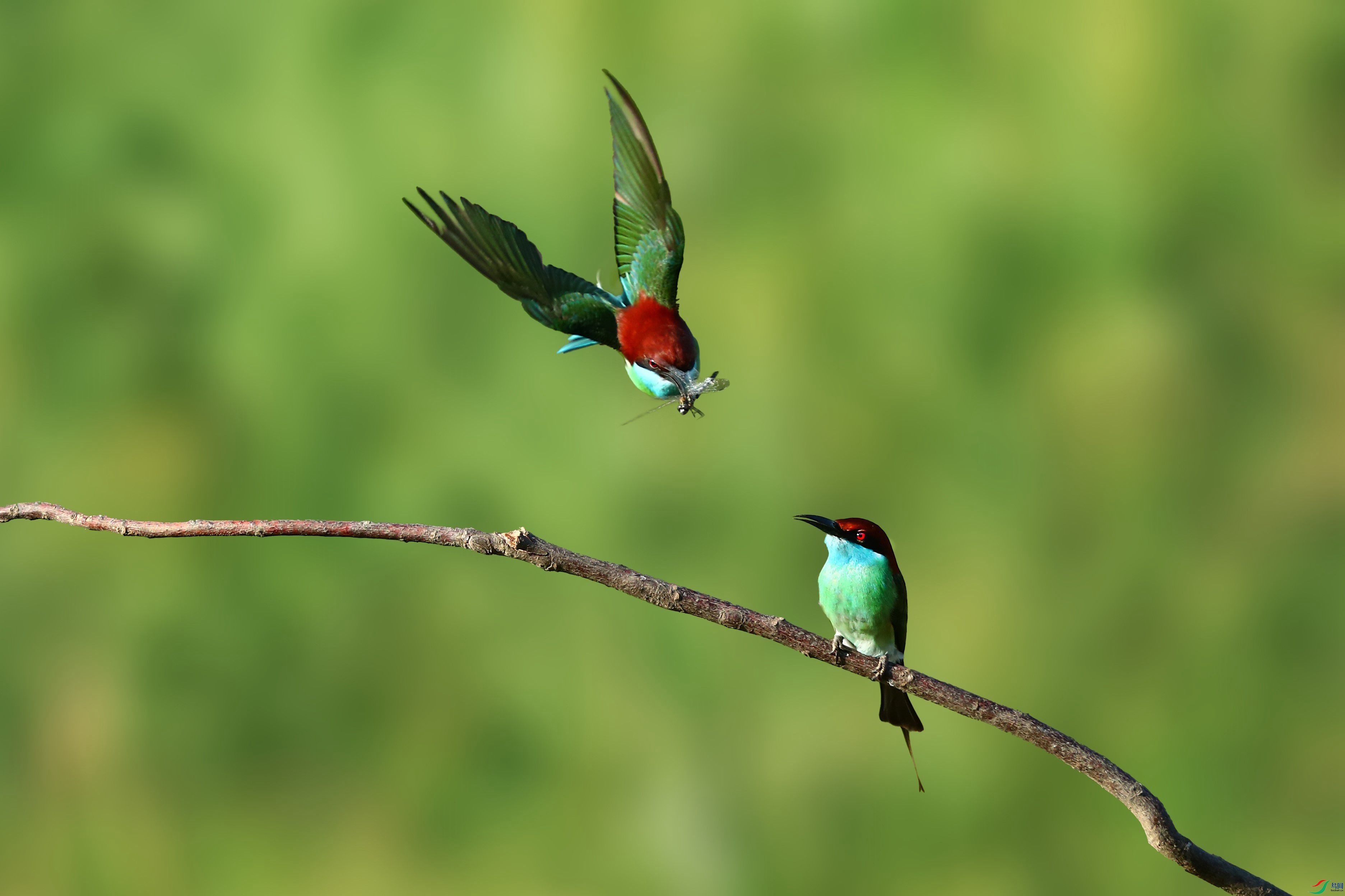 A95I0303 ���� 2.jpg