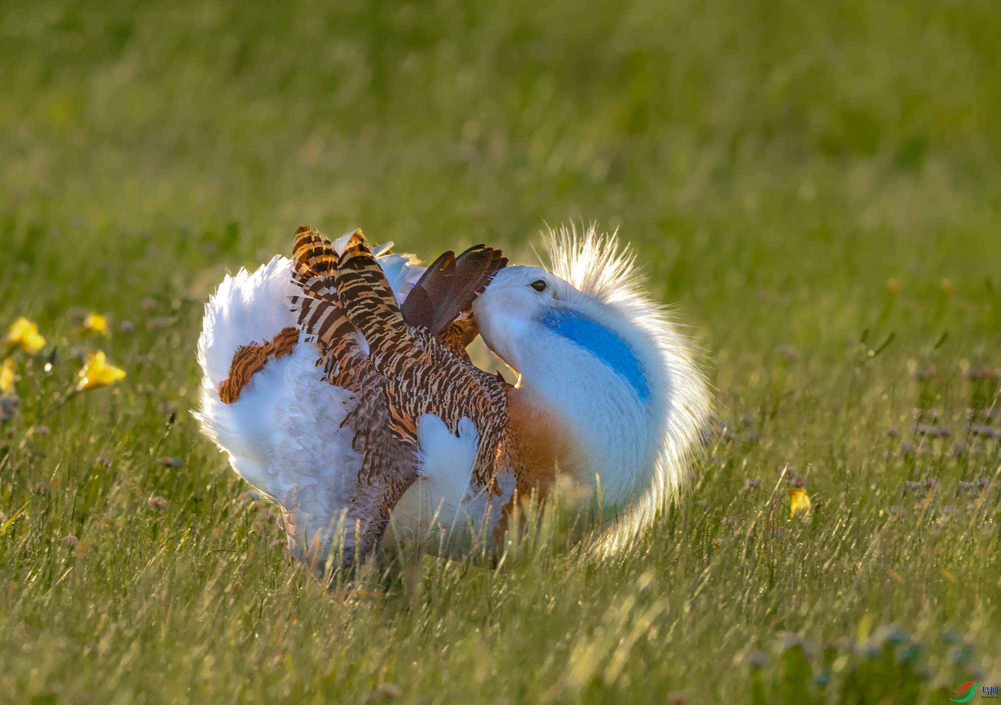 470.jpg