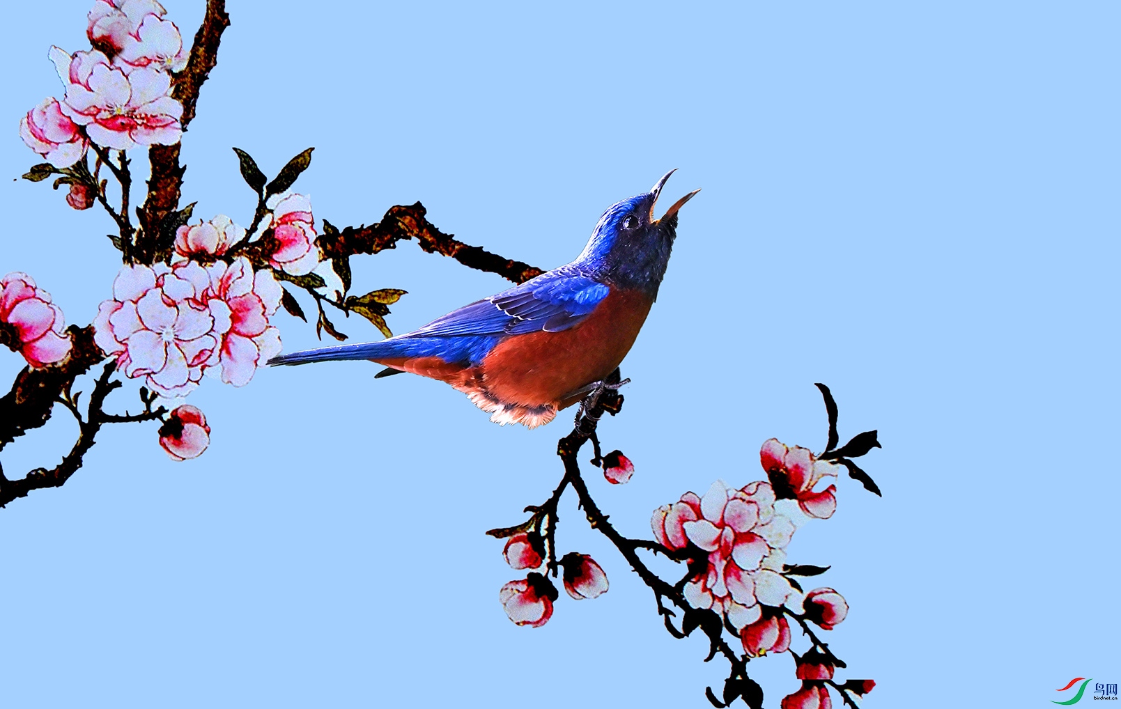 5.��֮��-�������1831AM.jpg