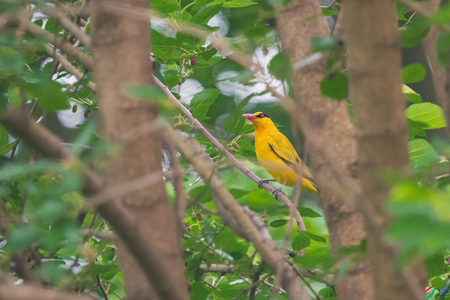 DSC_2631-2.jpg