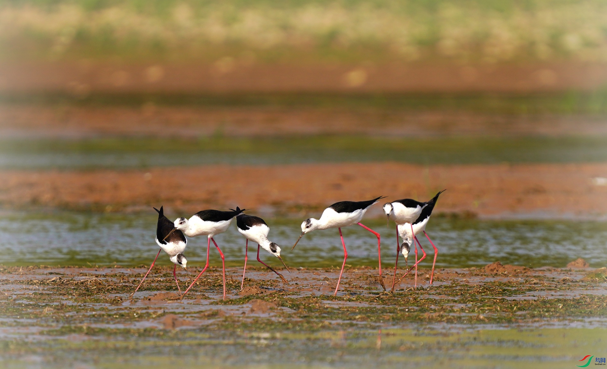 1 DSC08045��_����.jpg