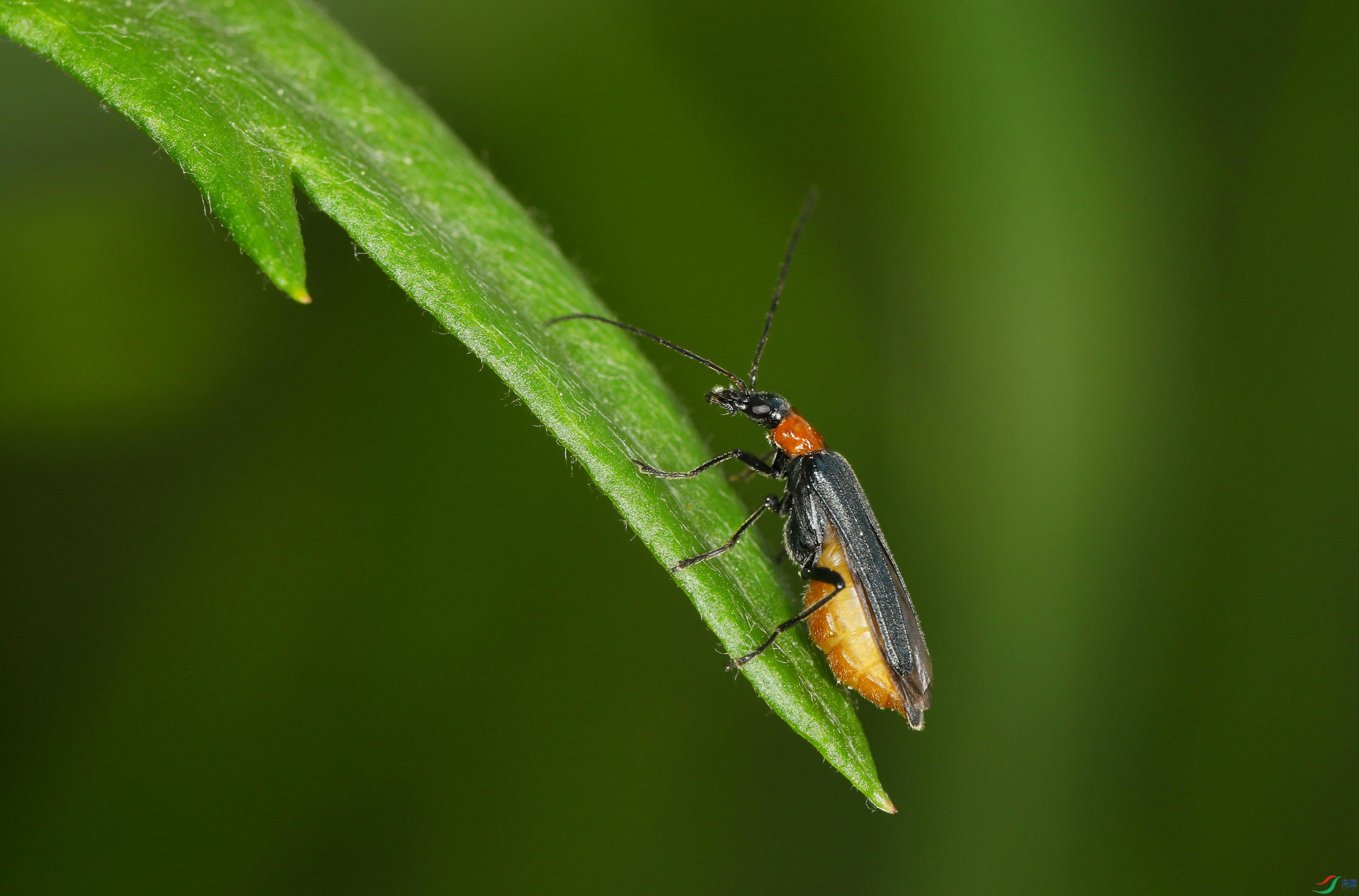 EC6A2838_����_����.jpg