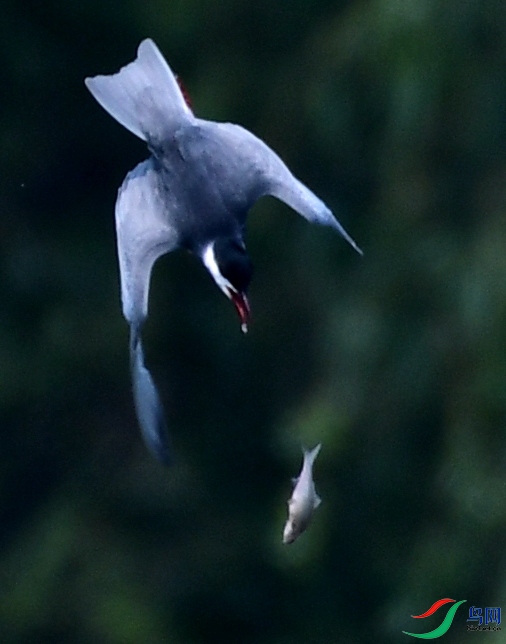 DSC_5836_����.jpg