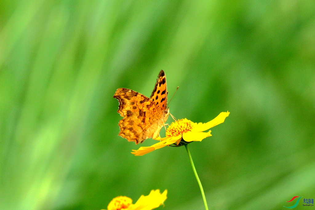 367A3545_����.jpg