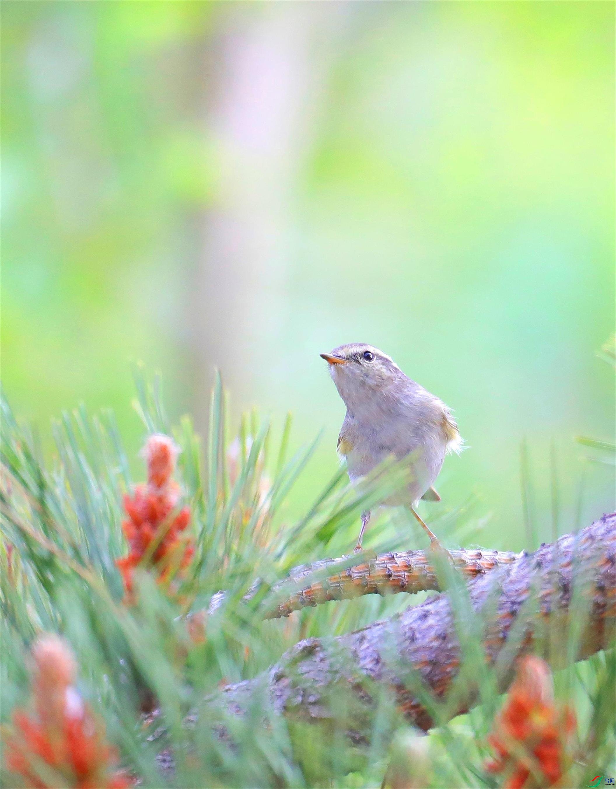 ˫������ݺ