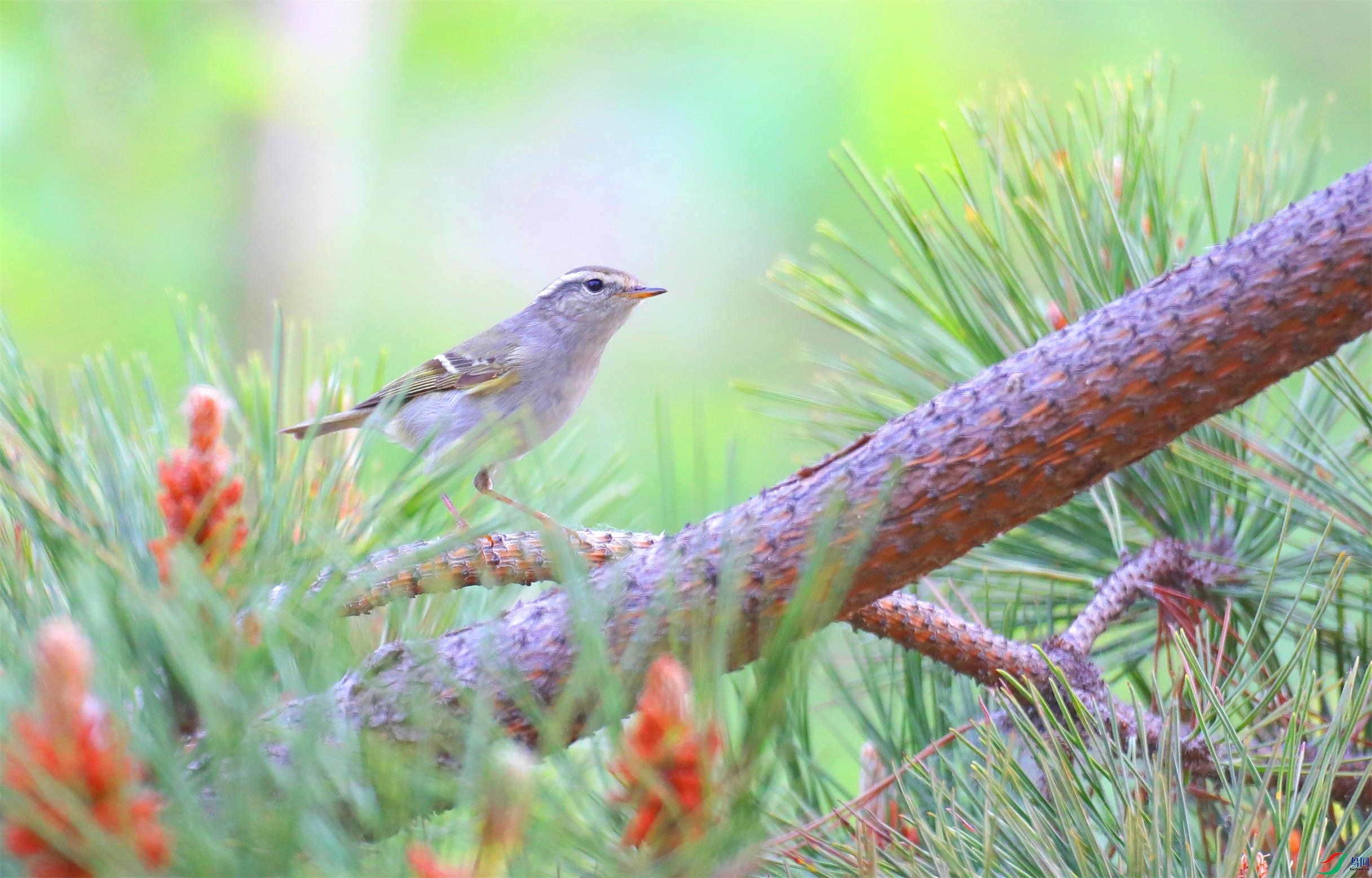 ˫������ݺ