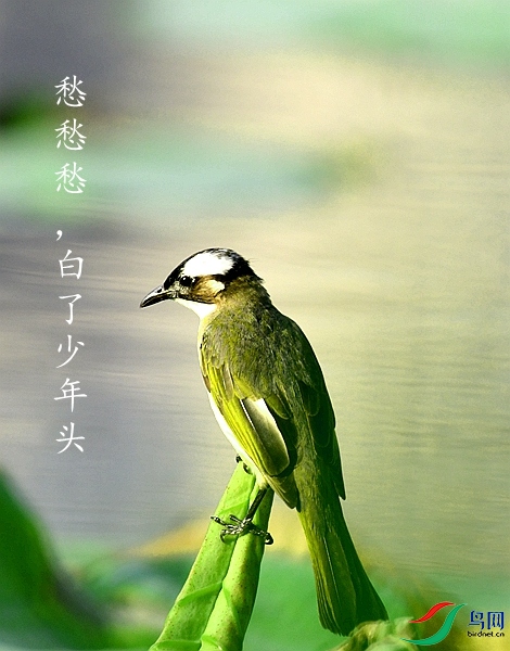 DSC_7585_����.jpg