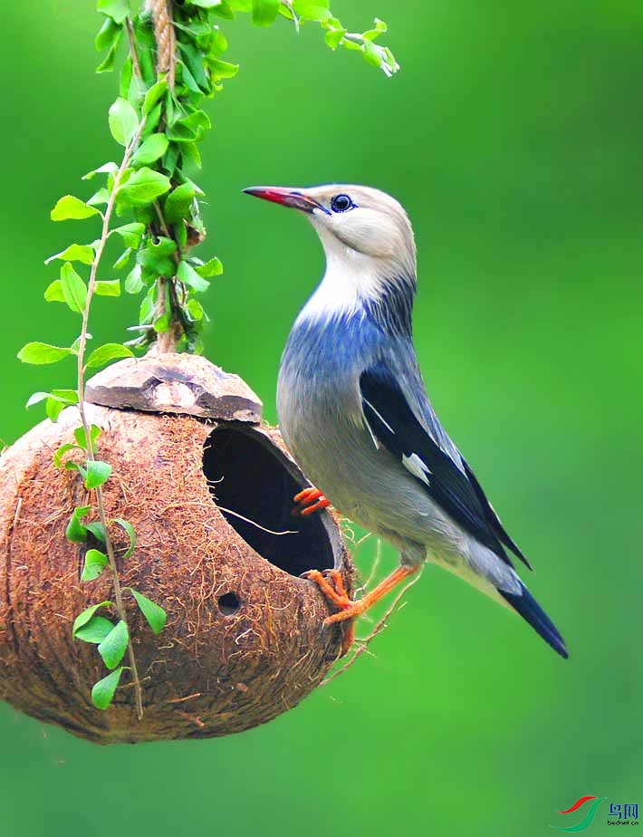 ��Ƭ 4739_����.jpg