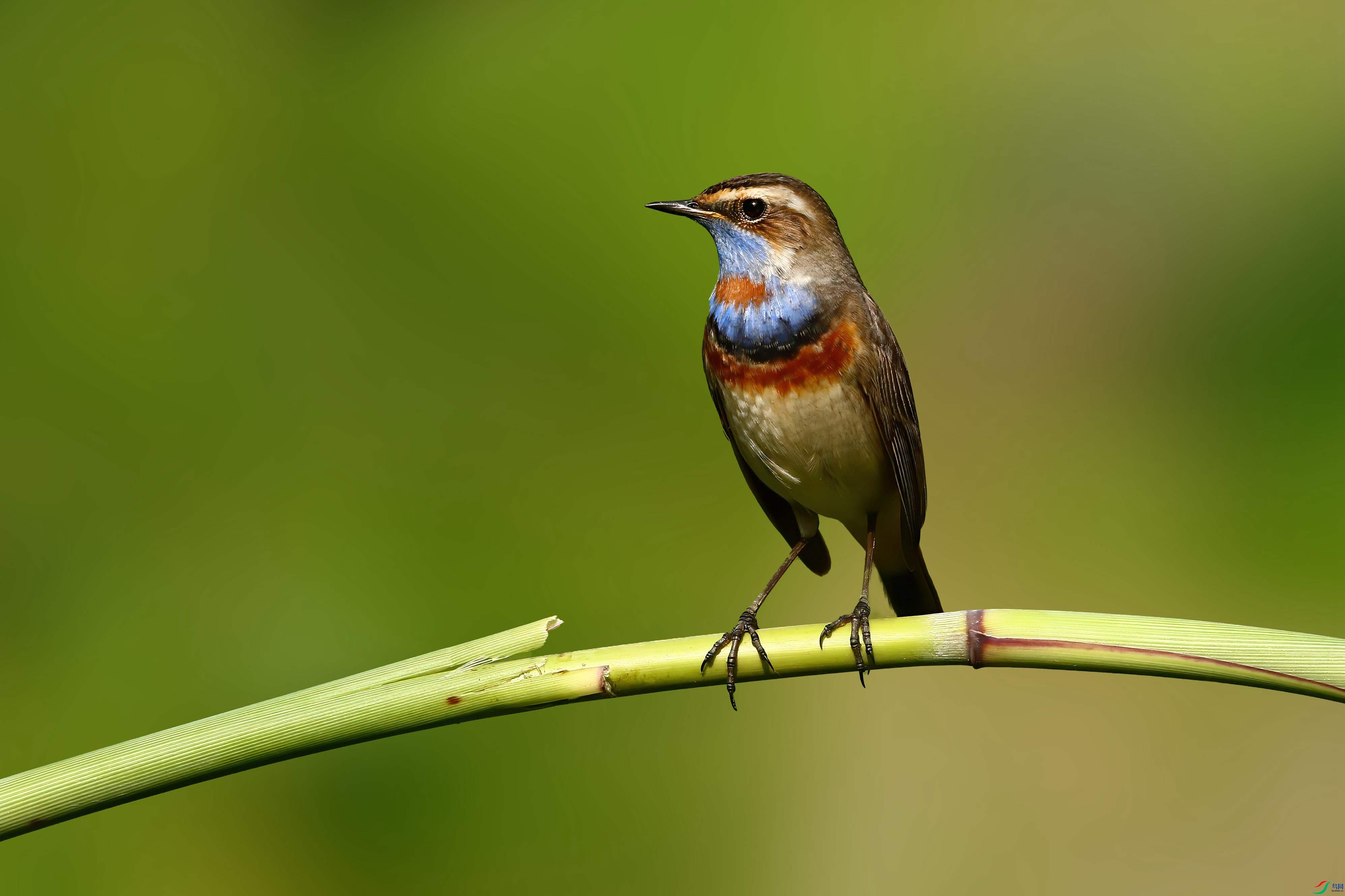 2B9A8561 ���� 2.jpg