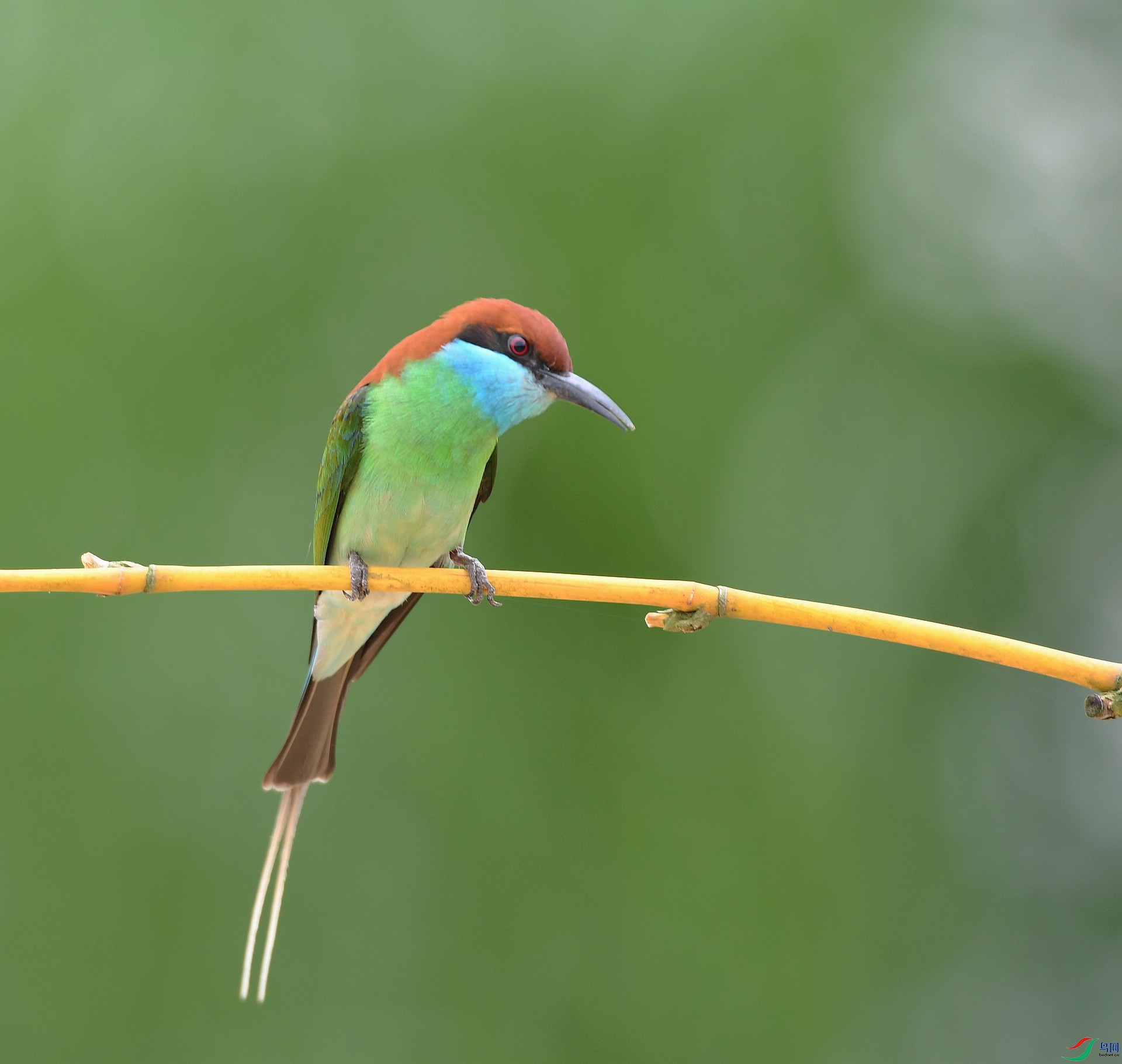 D5D_0876.jpg