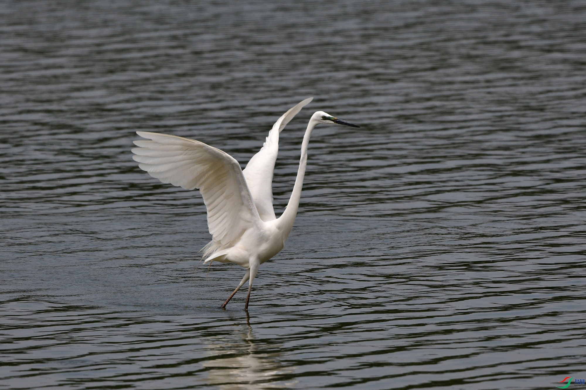 DSC_8478.jpg