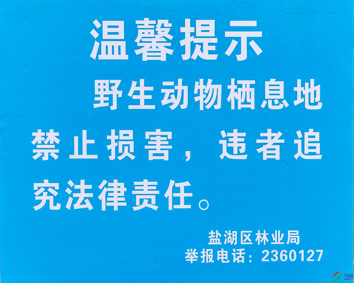 233A0847.jpg