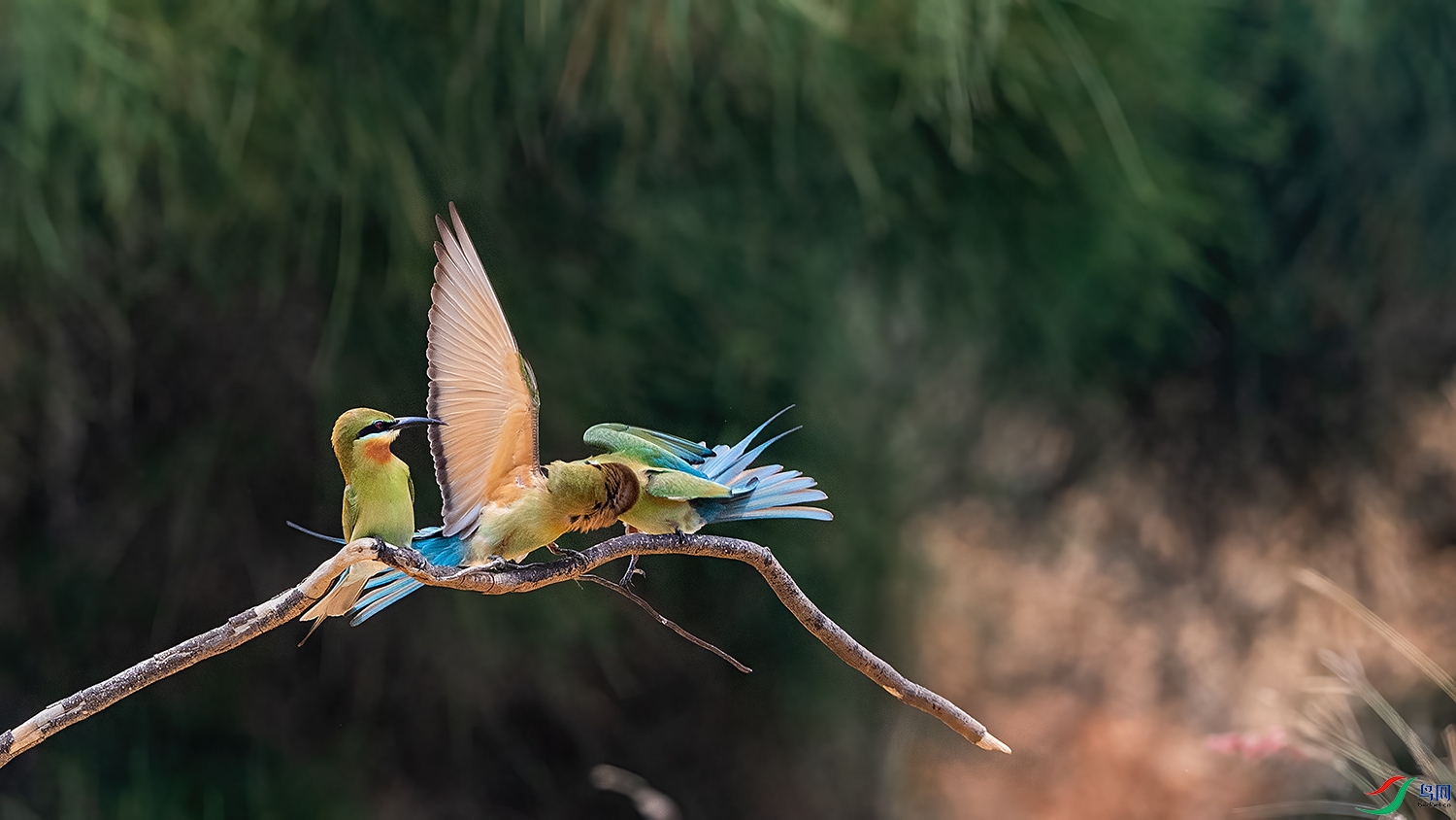 DSC_4006-2.jpg