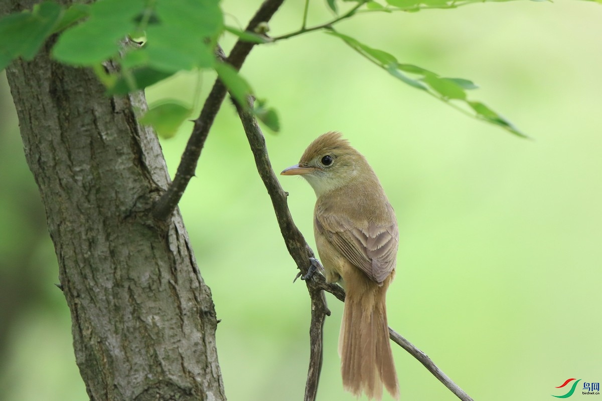 ʲô��  0F4A6581.jpg