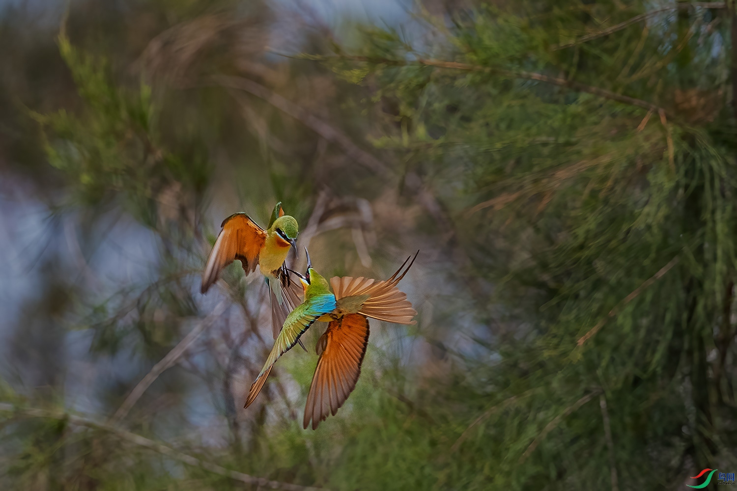 DSC_4664-2.jpg