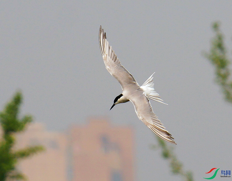 P6760597 - ����.JPG