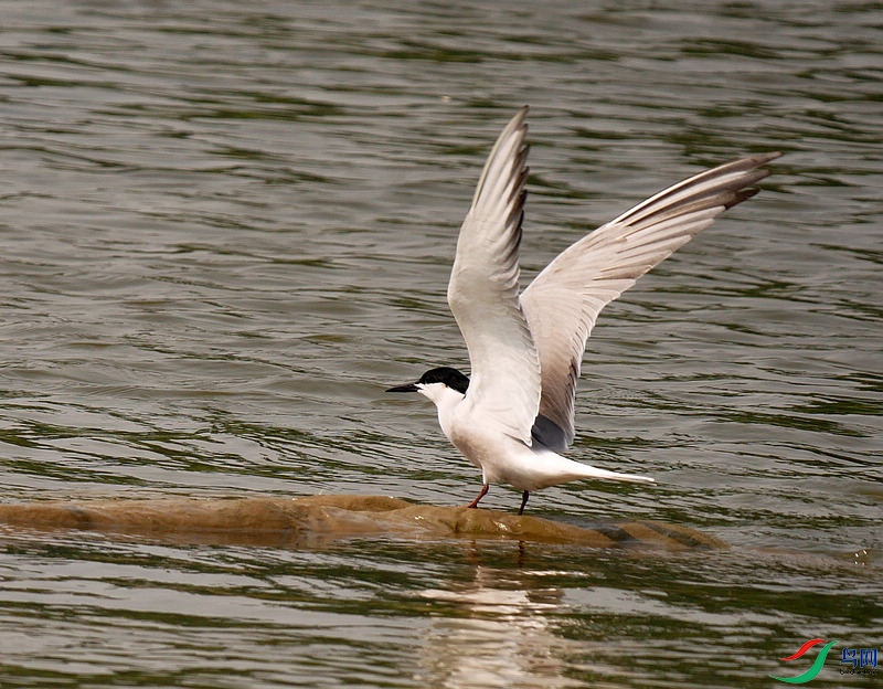 P6760711 - ����.JPG