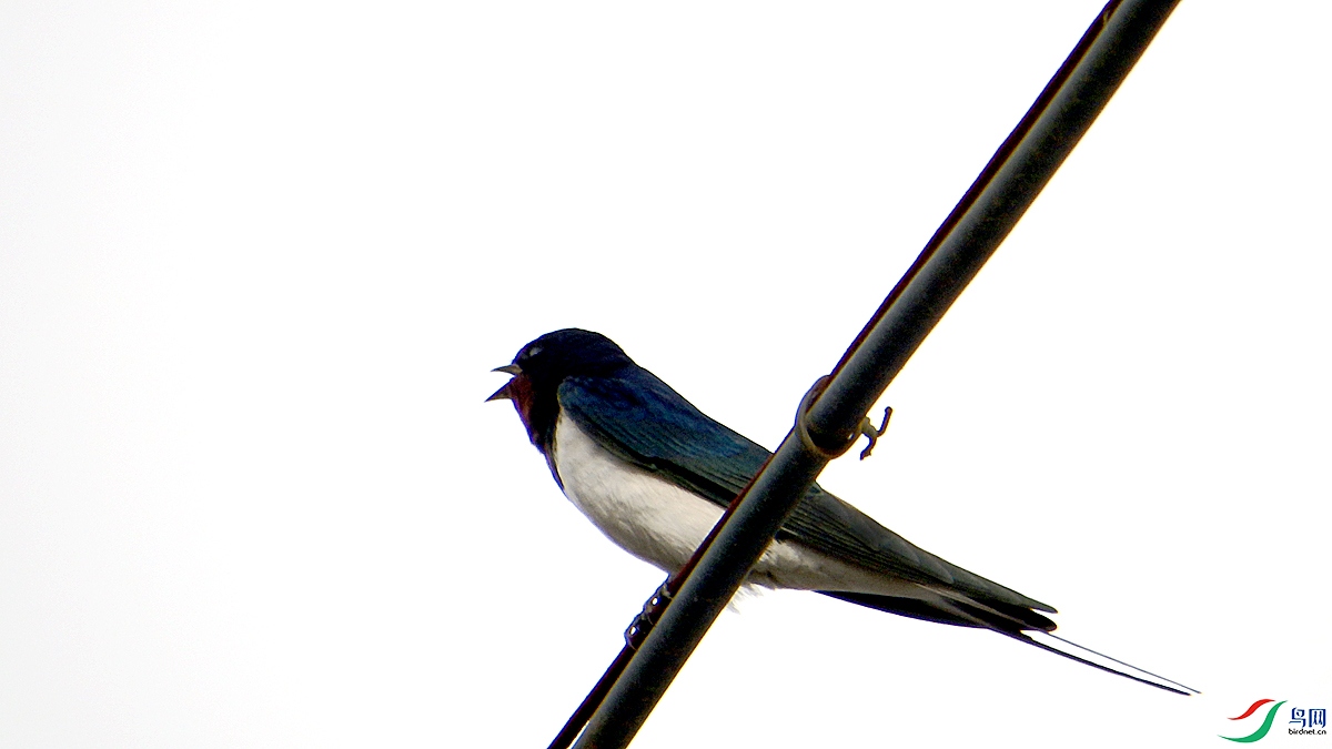 P4150531.jpg