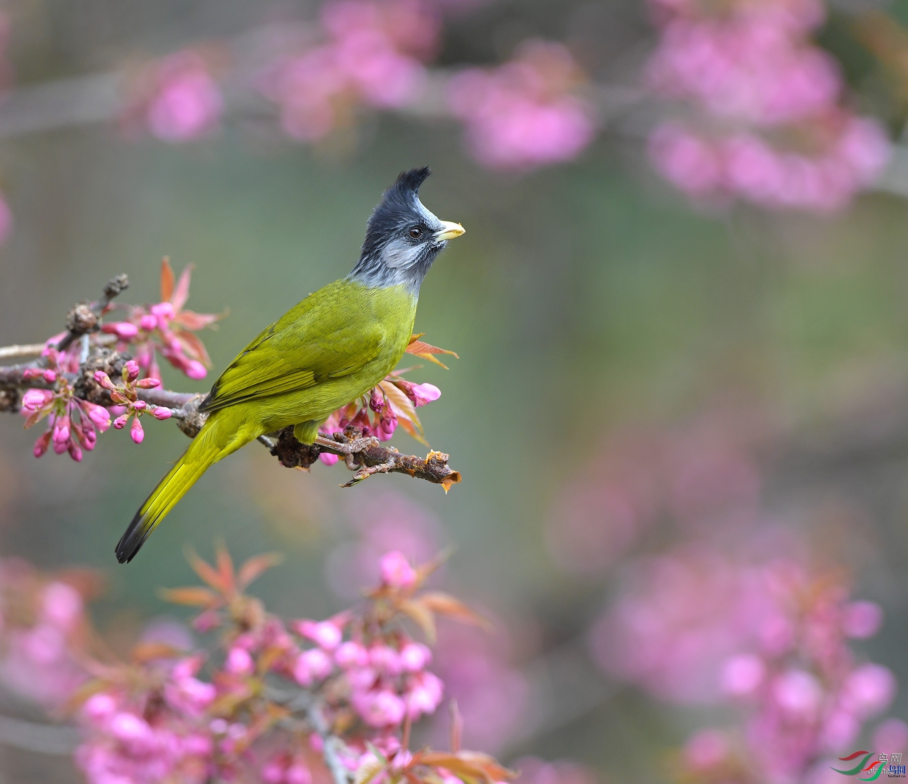 �������� ��ʦ����������ʡ��ɽ��.jpg