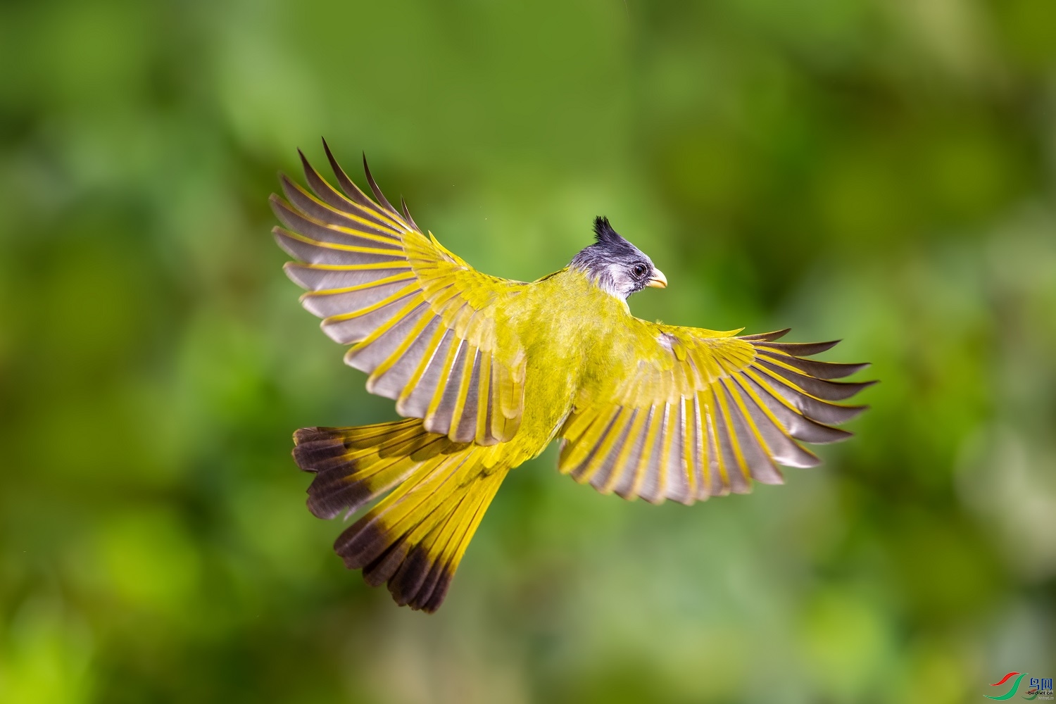 ��ˮ��ʿ  ��ʦ����������ʡ��ɽ��1.jpg