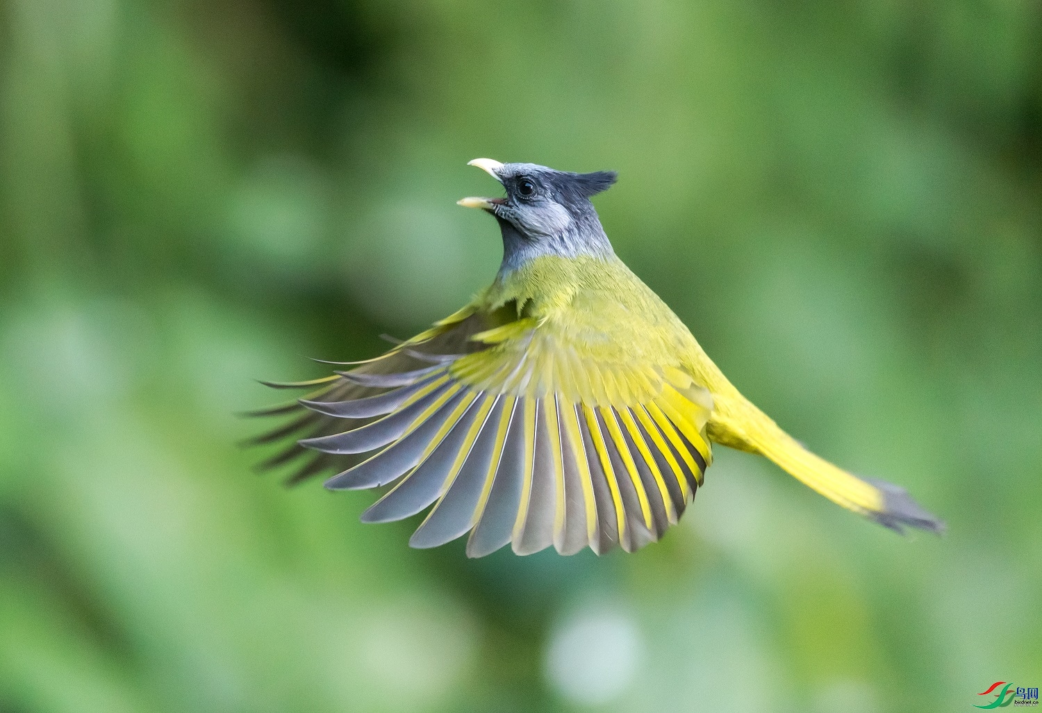 ��غ�һ  ��ʦ����������ʡ��ɽ��1.jpg