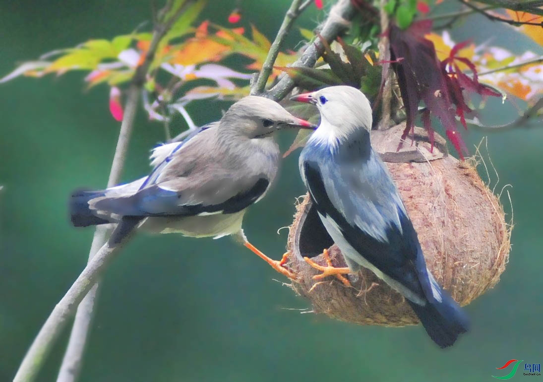 ��Ƭ 5195_����.jpg