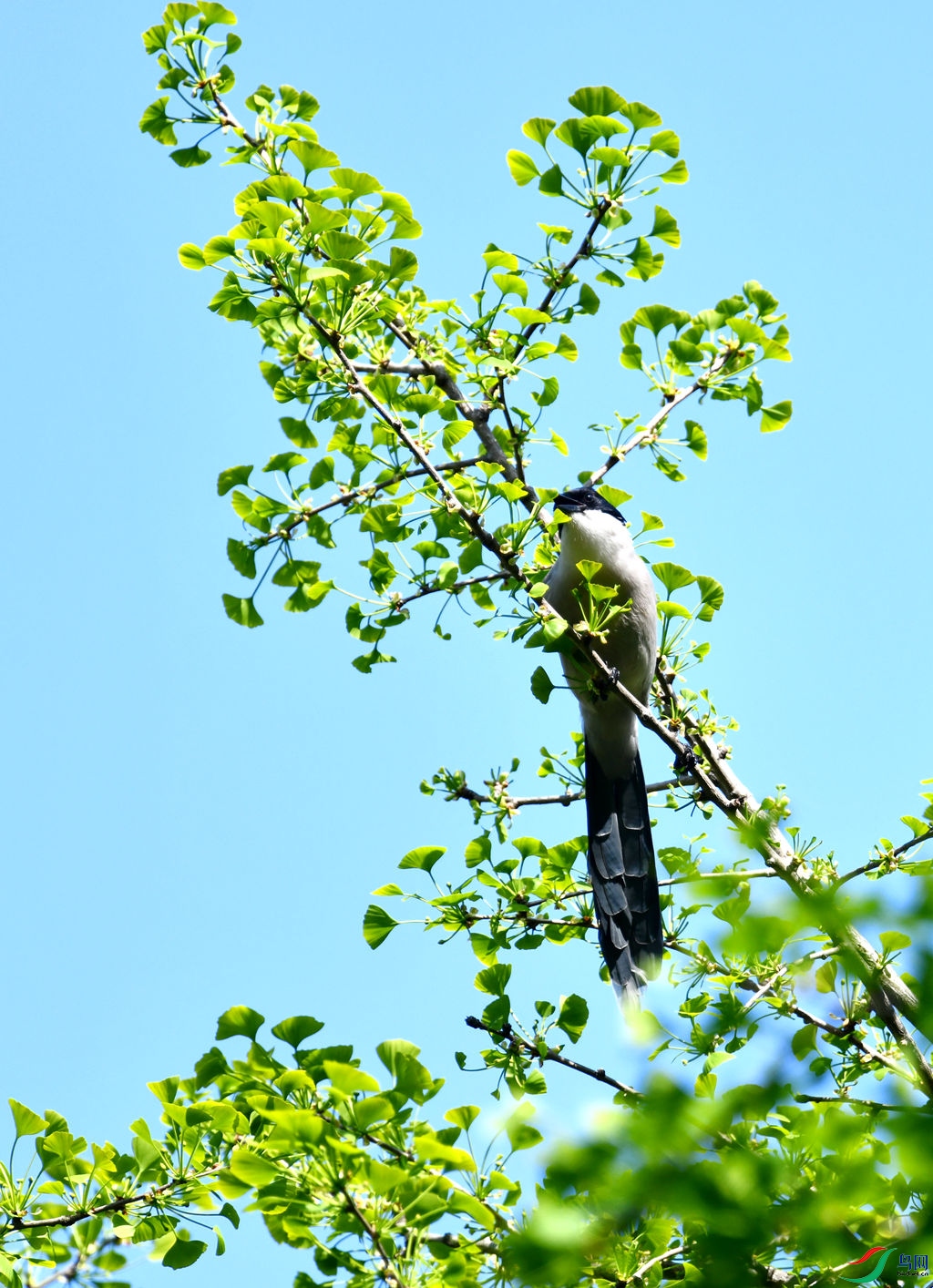 DSC_6184_����.jpg