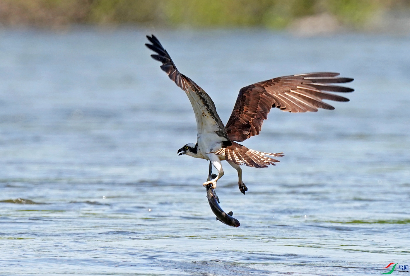 DSC08405----.jpg