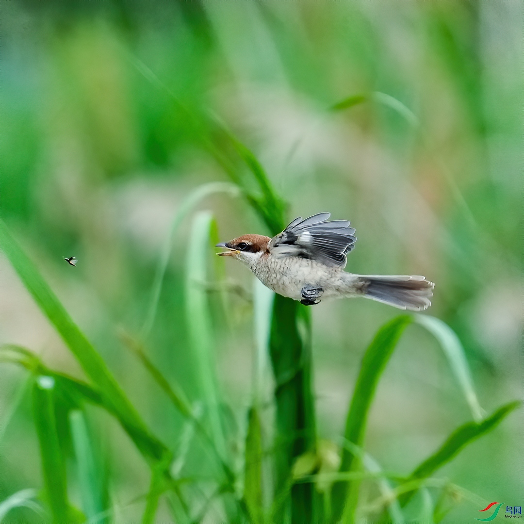 20210518-112338-2.JPG