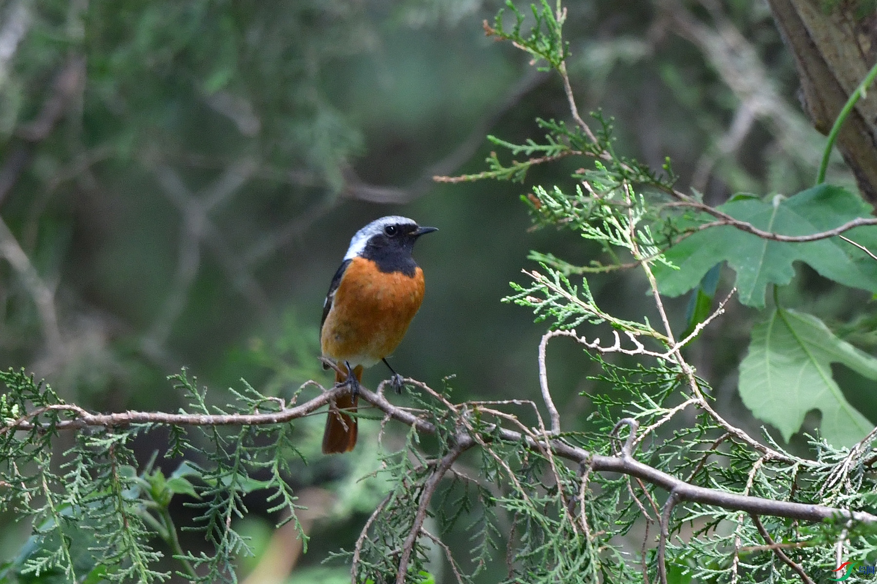 DSC_5518.jpg