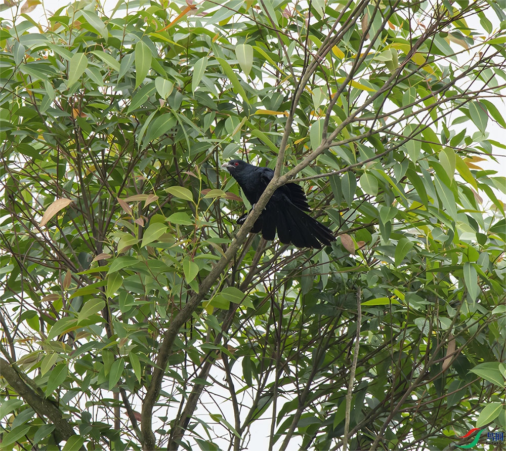 DSC_2182.jpg