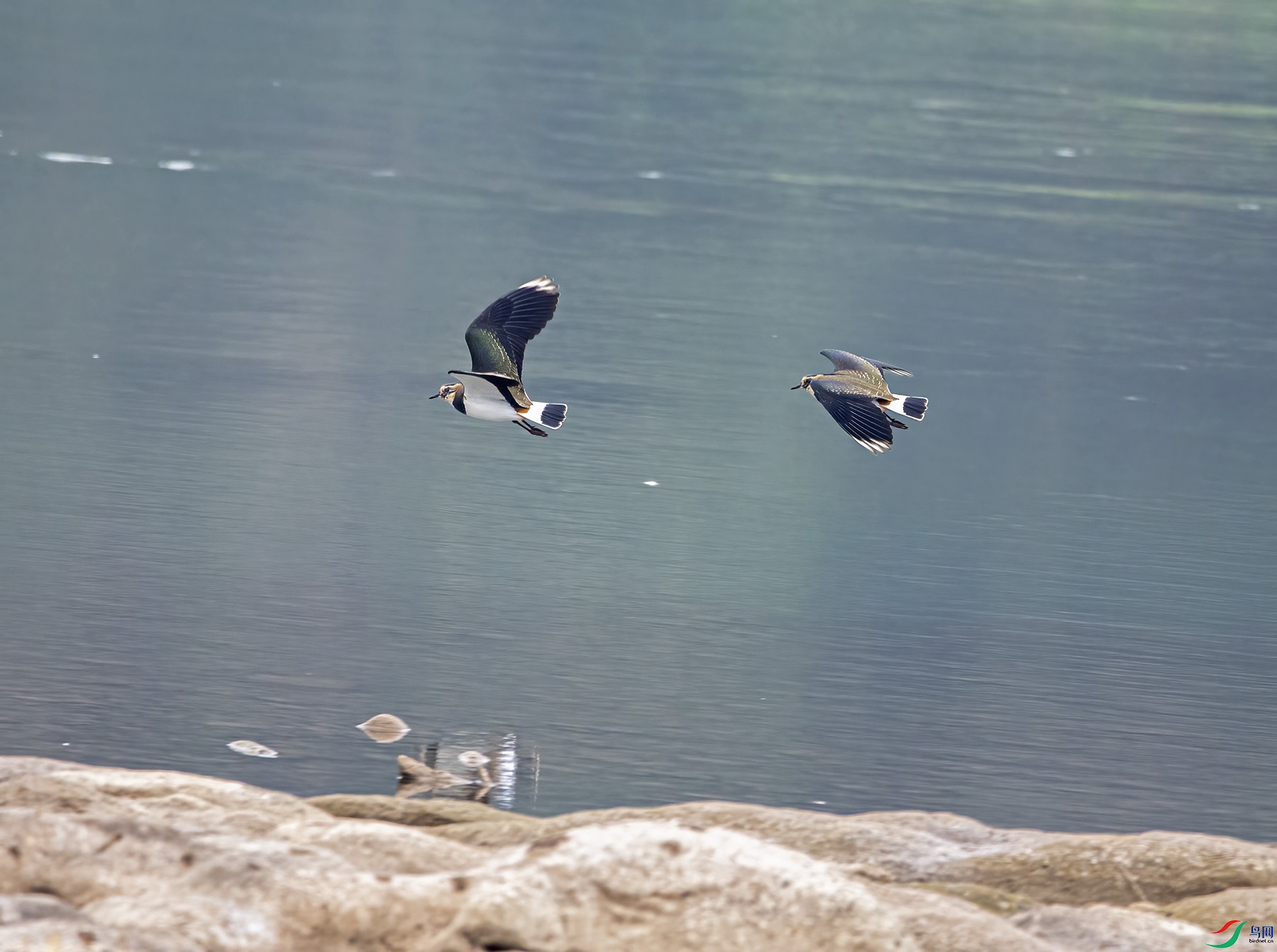 DSC_8078.jpg