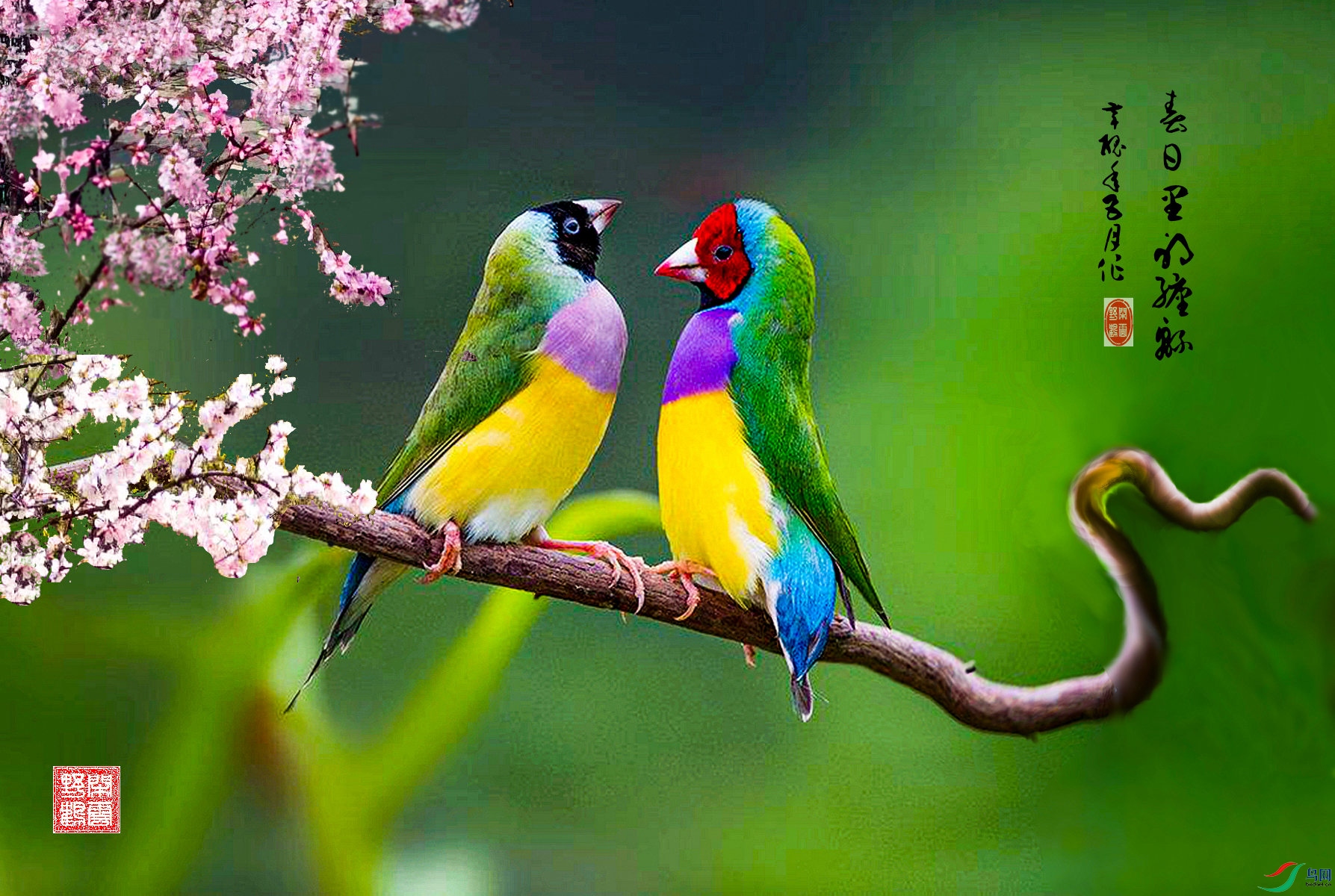 ������Ĳ��� - ����.jpg