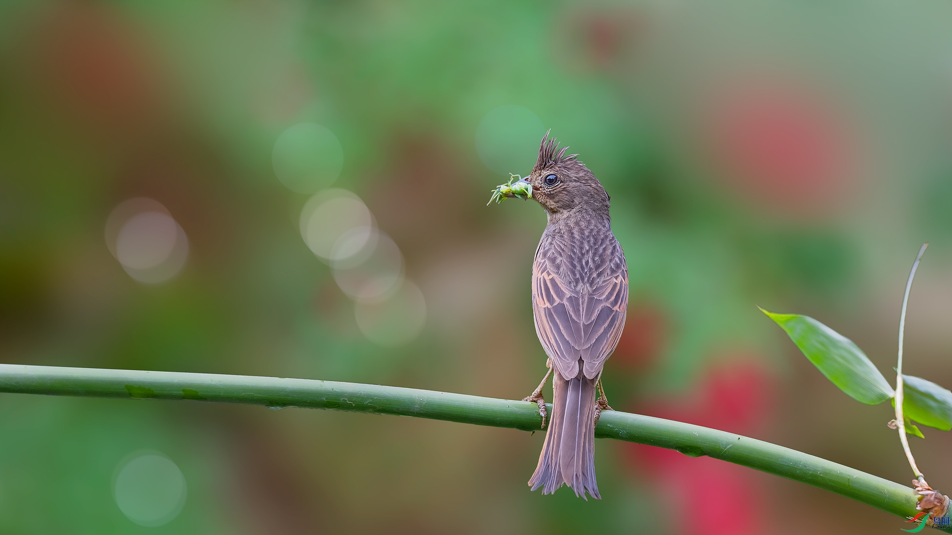 DSC_8272.jpg