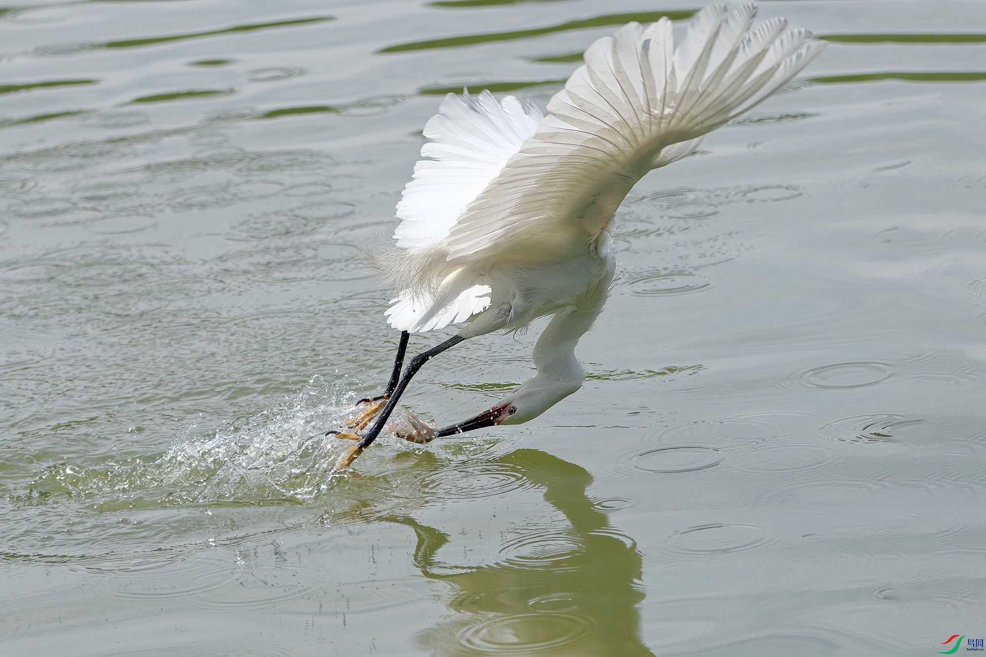 DSC_3920.jpg