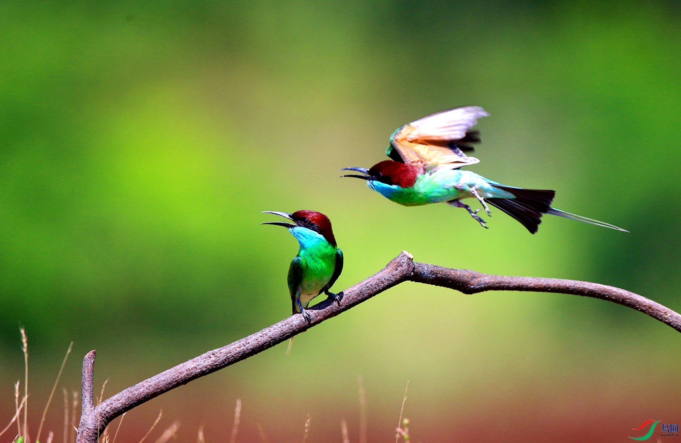 H46R6439_���� (2).jpg