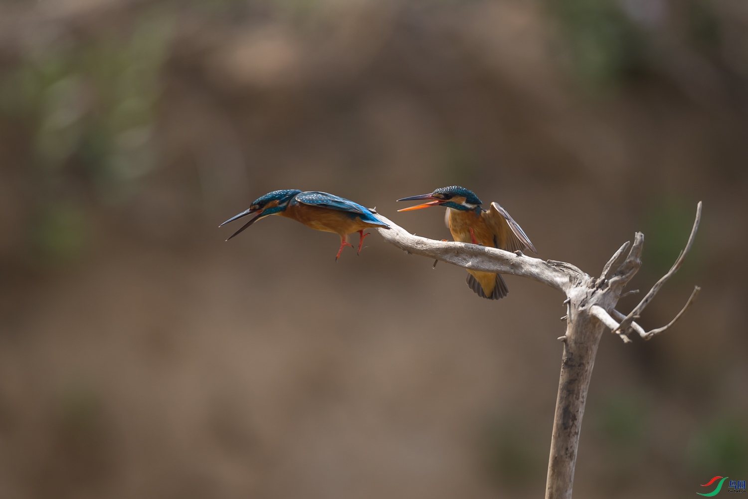 _90I9841.jpg