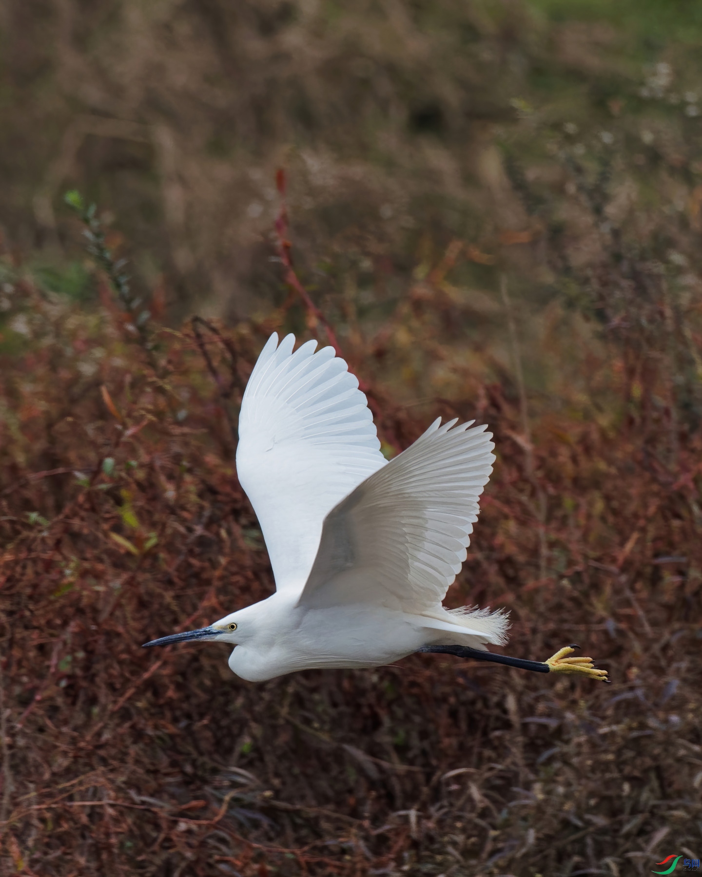 PC120199_DxO-d2.jpg