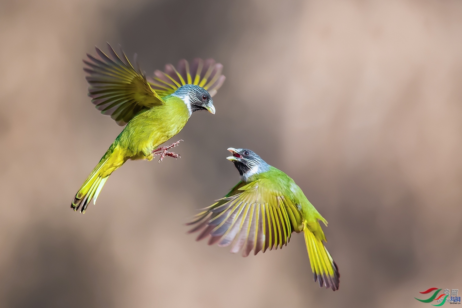 ��������  ��ʦ�����ں���ʡƽ��ɽ��³ɽ��.jpg