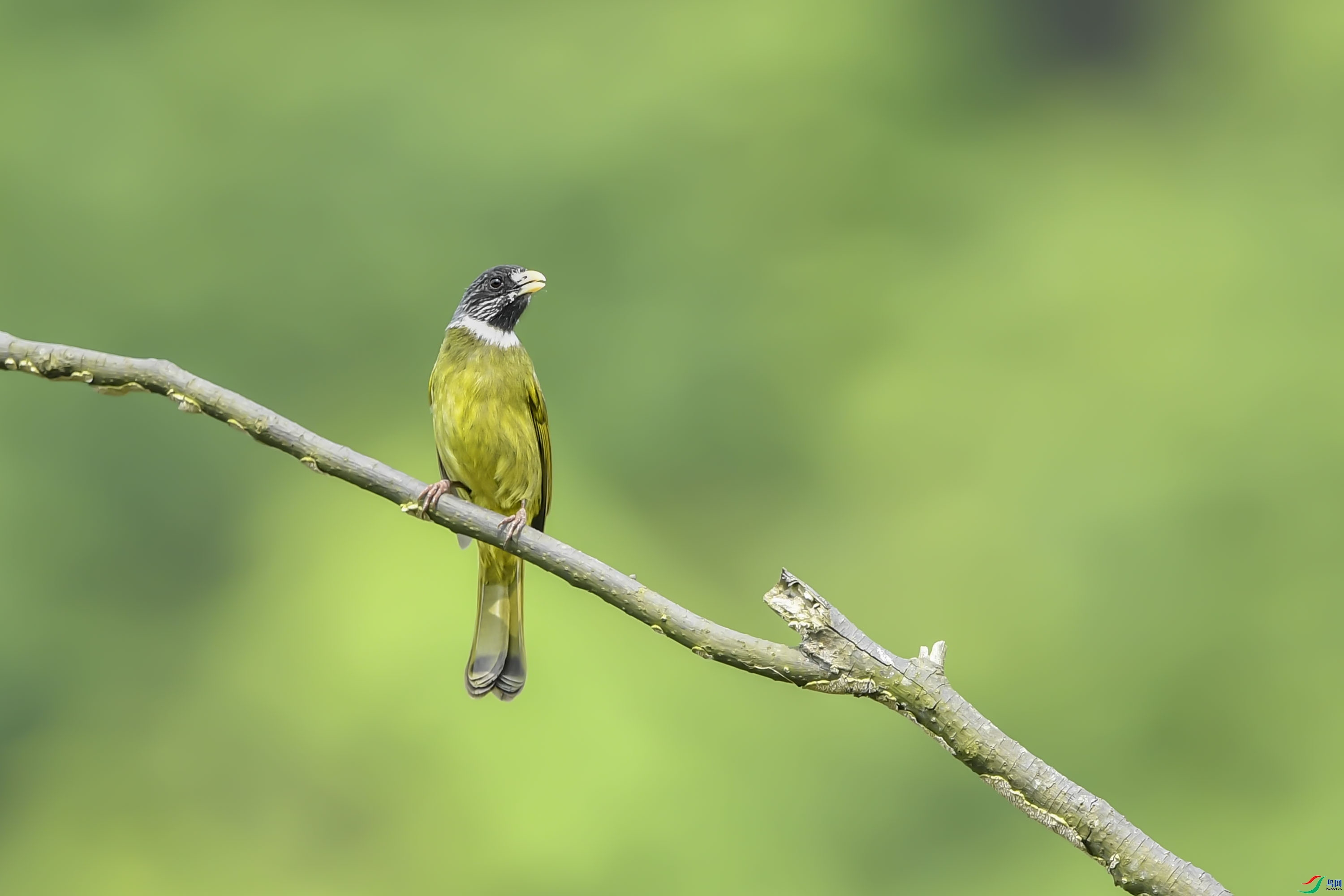 ����  ��ʦ�����ڹ㶫ʡ�ع�����Դ����������.jpg