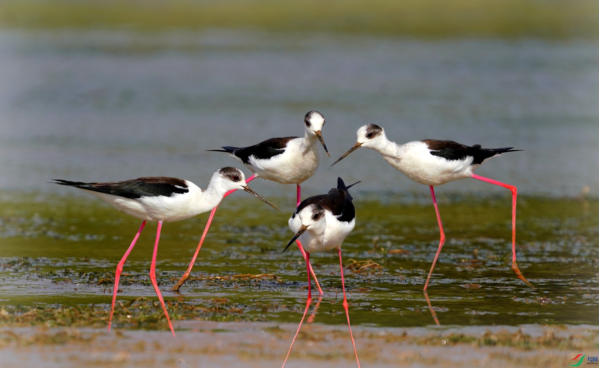 1 DSC08223��_����.jpg