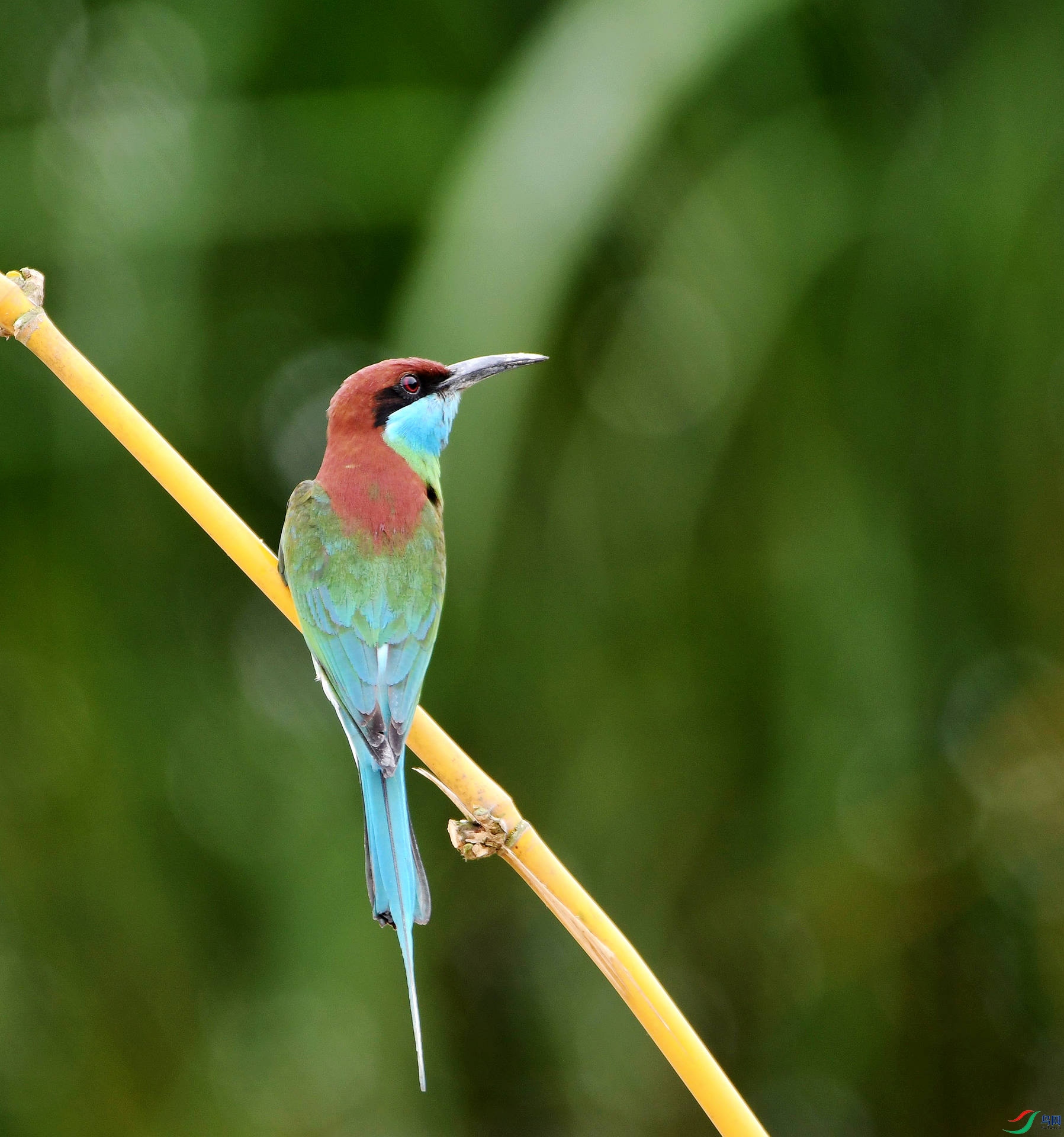 D5D_1417.jpg
