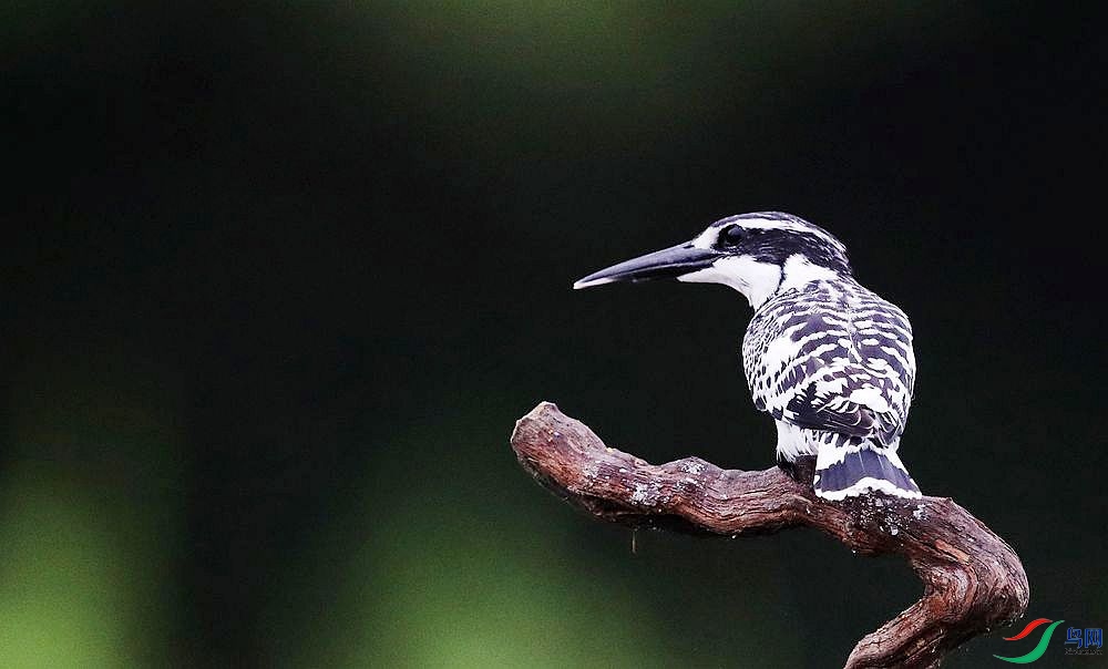 ���� ���㹷1.jpg