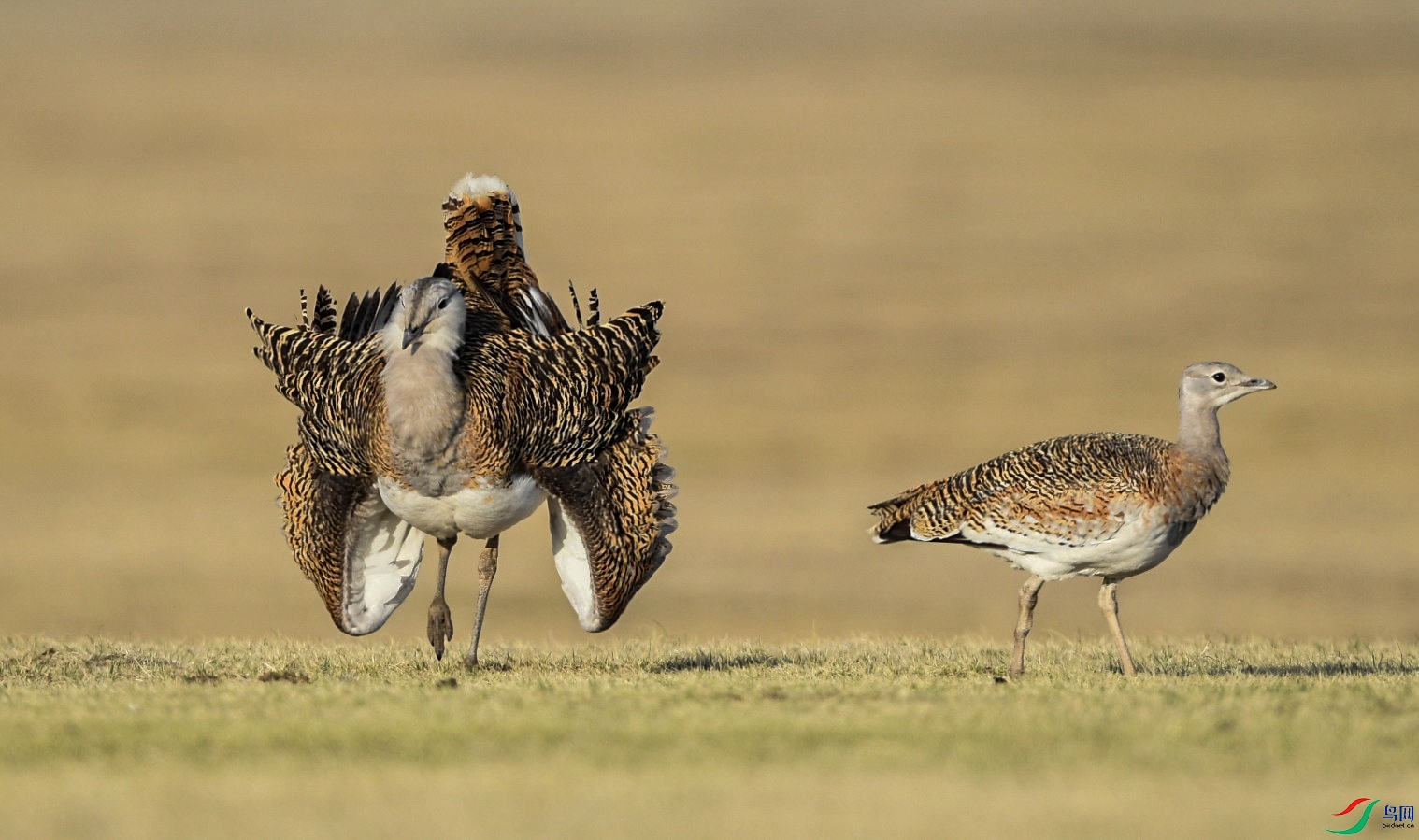 ʧ�͵�һ�Դ��