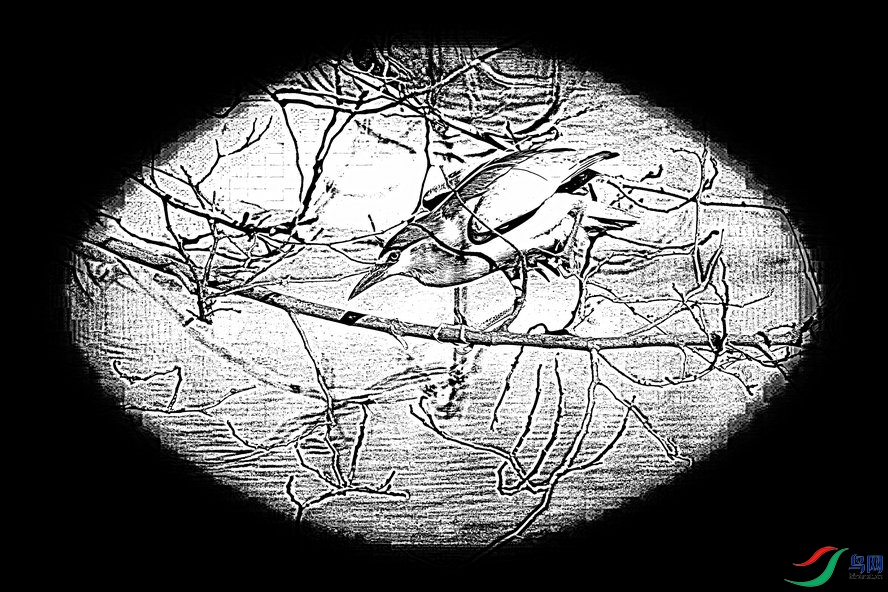 BW6I6927_����_����1_����.jpg